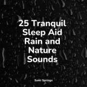 25 Tranquil Sleep Aid Rain and Nature Sounds