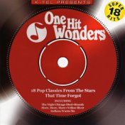 One Hit Wonders (Rerecorded Version)