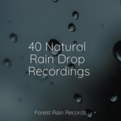 40 Natural Rain Drop Recordings