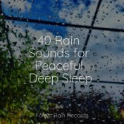 40 Rain Sounds for Peaceful Deep Sleep