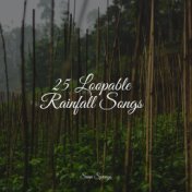 25 Loopable Rainfall Songs