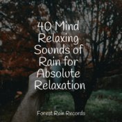 40 Mind Relaxing Sounds of Rain for Absolute Relaxation