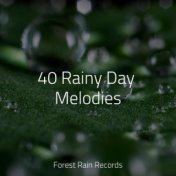 40 Rainy Day Melodies