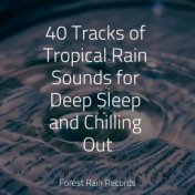40 Tracks of Tropical Rain Sounds for Deep Sleep and Chilling Out