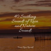 40 Soothing Sounds of Rain and Nature Sounds