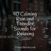 40 Calming Rain and Thunder Sounds for Relaxing
