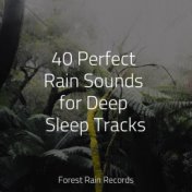 40 Perfect Rain Sounds for Deep Sleep Tracks