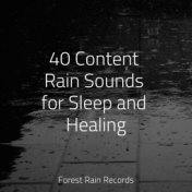 40 Content Rain Sounds for Sleep and Healing