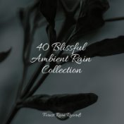 40 Blissful Ambient Rain Collection