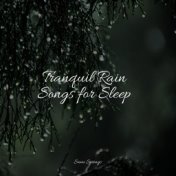 25 Loopable Rain & Nature Sounds