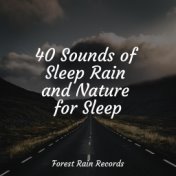 40 Sounds of Sleep Rain and Nature for Sleep