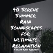 40 Serene Summer Rain Soundscapes for Ultimate Relaxation