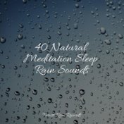 40 Natural Meditation Sleep Rain Sounds