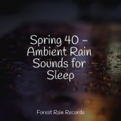Spring 40 - Ambient Rain Sounds for Sleep