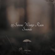 25 Serene Winter Rain Sounds