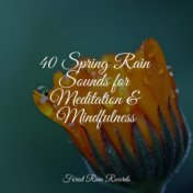 40 Spring Rain Sounds for Meditation & Mindfulness
