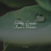 Soothing Loopable Rain Melodies