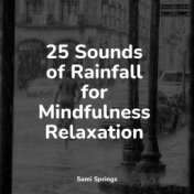25 Sounds of Rainfall for Mindfulness Relaxation