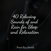 40 Relaxing Sounds of and Rain for Sleep and Relaxation