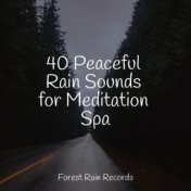 40 Peaceful Rain Sounds for Meditation Spa