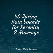 40 Spring Rain Sounds for Serenity & Massage