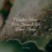Winter Sleep Rain Sounds for Deep Sleep