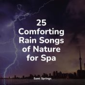 25 Comforting Rain Songs of Nature for Spa