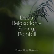 Deep Relaxation - Spring Rainfall