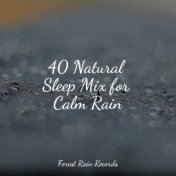 40 Natural Sleep Mix for Calm Rain