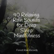 40 Relaxing Rain Sounds for Deep Sleep Mindfulness