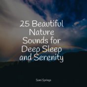 25 Beautiful Nature Sounds for Deep Sleep and Serenity