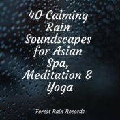 40 Calming Rain Soundscapes for Asian Spa, Meditation & Yoga
