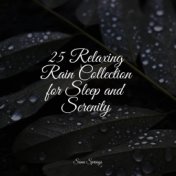 25 Relaxing Rain Collection for Sleep and Serenity