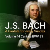 J.S. Bach: Jesus schläft, was soll ich hoffen, BWV 81