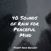 40 Sounds of Rain for Peaceful Mind
