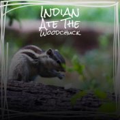 Indian Ate The Woodchuck