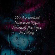 25 Essential Summer Rain Sounds for Spa & Sleep