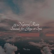 25 Natural Rain Sounds for Yoga or Spa