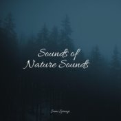 Sounds of Nature Sounds