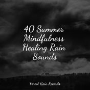 40 Summer Mindfulness Healing Rain Sounds