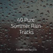 40 Pure Summer Rain Tracks