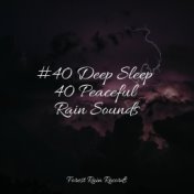 #40 Deep Sleep 40 Peaceful Rain Sounds