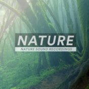 Nature - Nature Sound Recordings