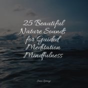 25 Beautiful Nature Sounds for Guided Meditation Mindfulness