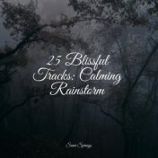 25 Blissful Tracks: Calming Rainstorm