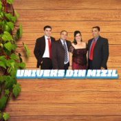 UNIVERS DIN MIZIL