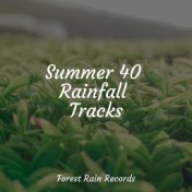 Summer 40 Rainfall Tracks