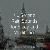 40 Serene Rain Sounds for Sleep and Meditation