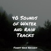 40 Sounds of Water and Rain Tracks