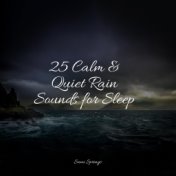 25 Calm & Quiet Rain Sounds for Sleep
